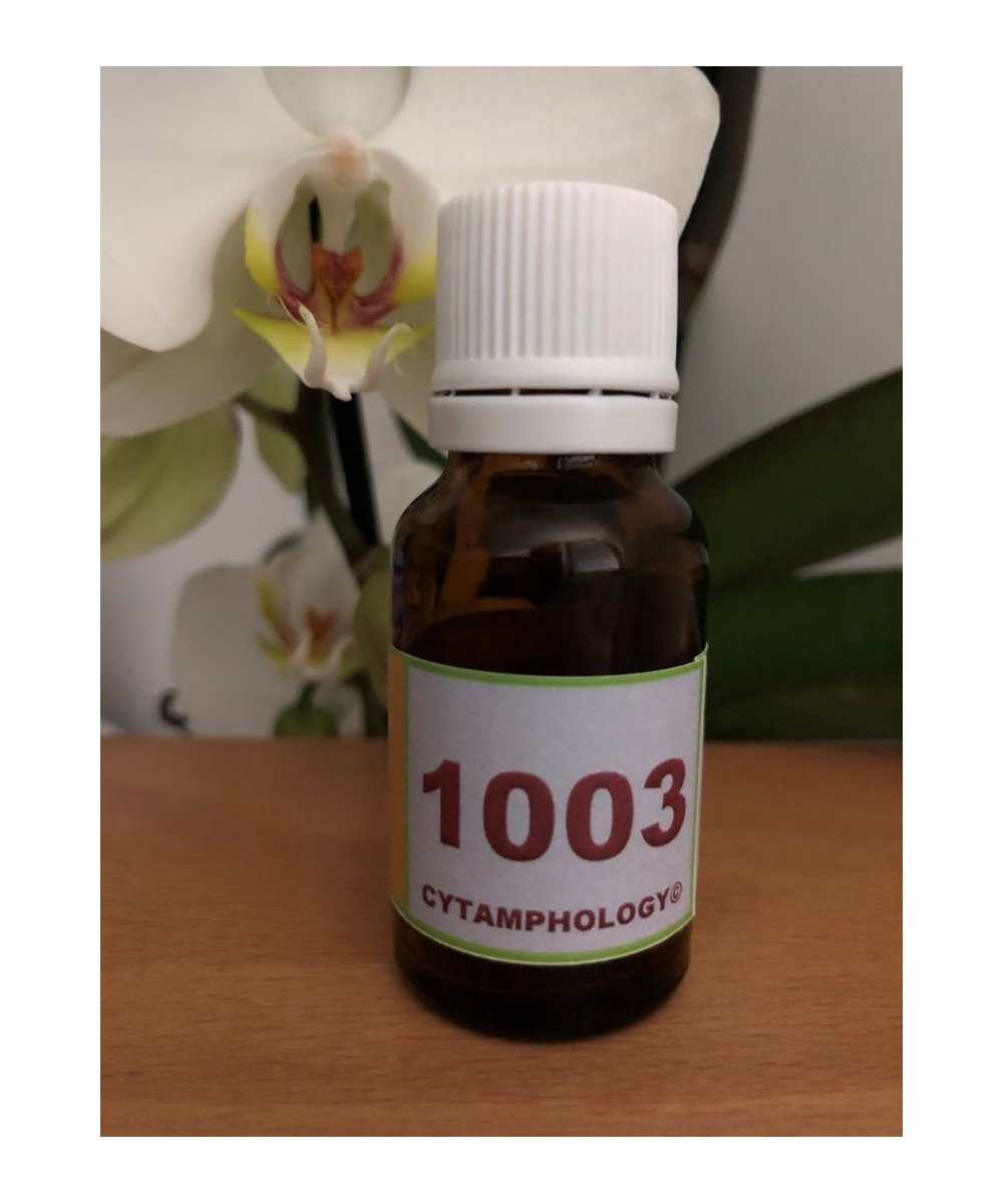 1003 L' Abandon pour les animaux.