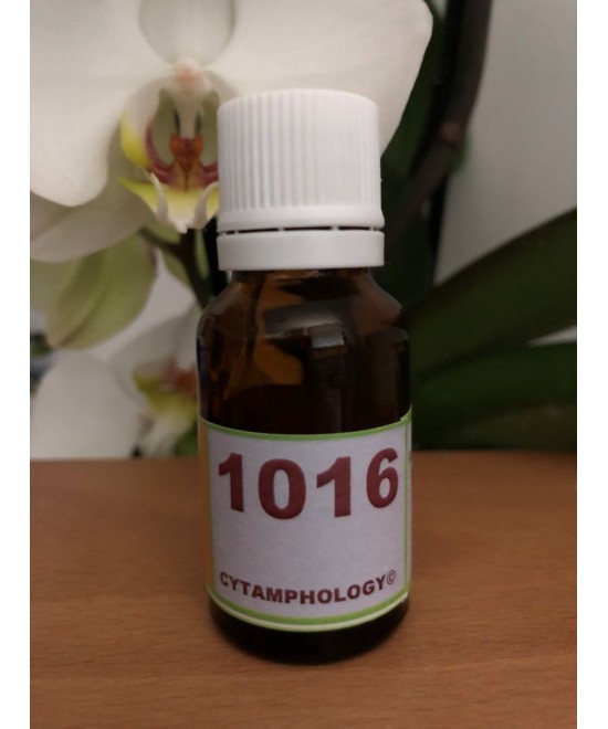 1016 Sarcoïdose équine.
