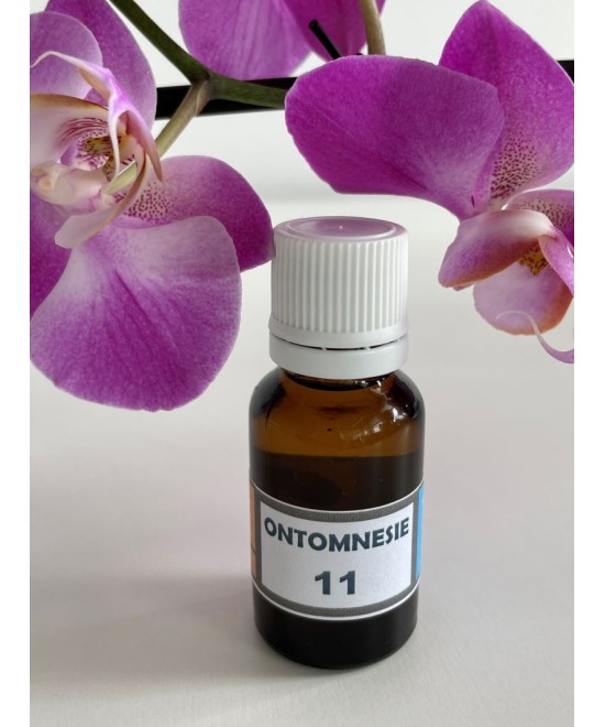 OM 11 Détachement , par rapport au passé, pour les personnes qui refusent le progrès.