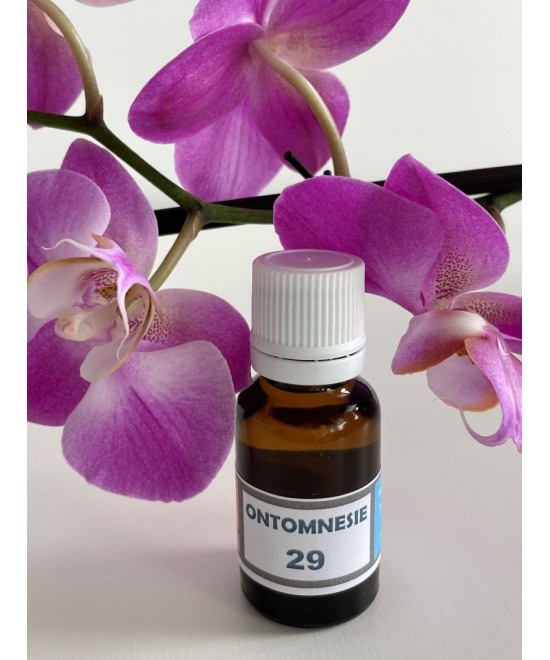 OM 29 Créativité, manque d'inspiration...