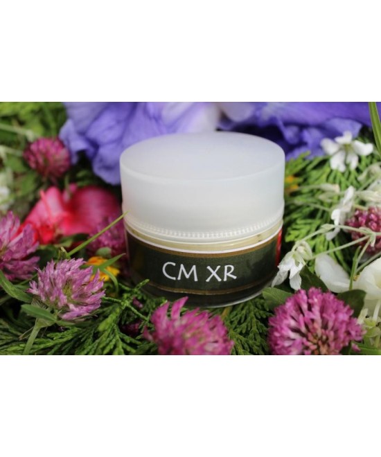 XR - Radioactivité.