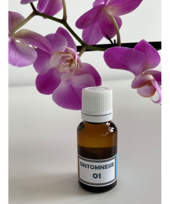 OM 01 Re-motivation, retour des envies et des projets.