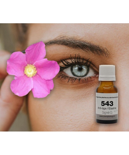 SG 543  RAJEUNISSEMENT SOUPLESSE DU DERME  à la rose Musquée du CHILI.