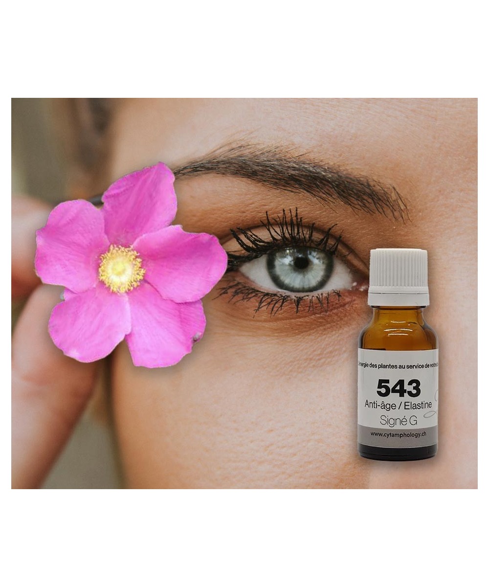 SG 543  RAJEUNISSEMENT SOUPLESSE DU DERME  à la rose Musquée du CHILI.