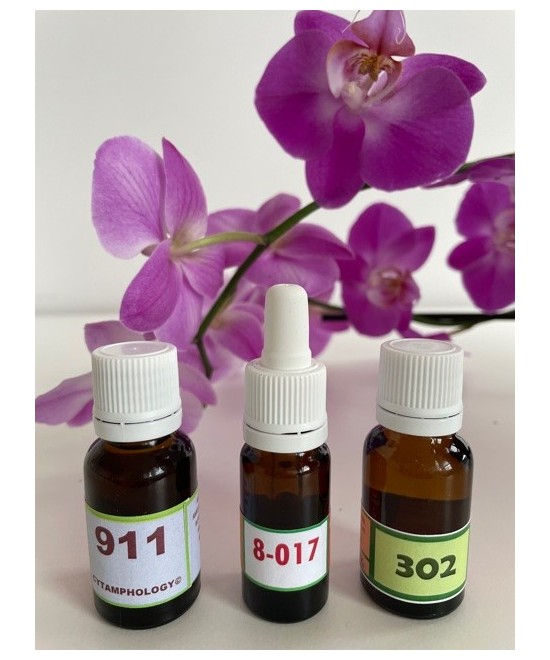 GINGIVITE DES CHATS 911 + 302 + 8-017.