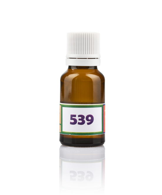 SG 539 Circulation des énergies.