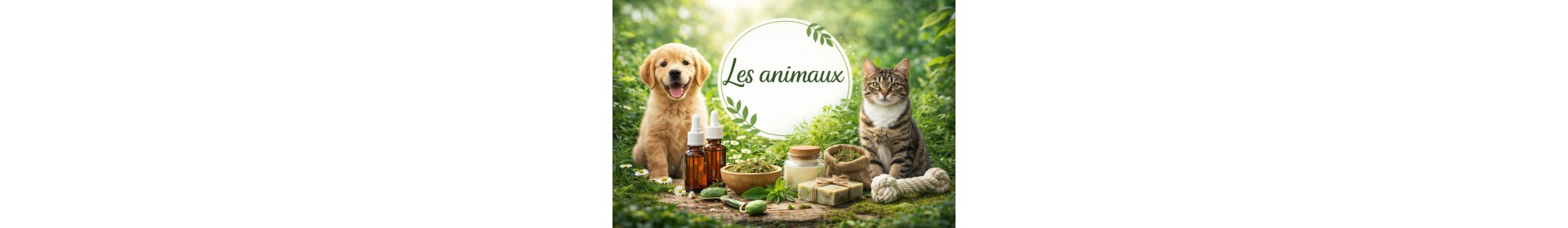 Assurez le bien-être de vos animaux grâce à nos produits issus de la Cytamphologie